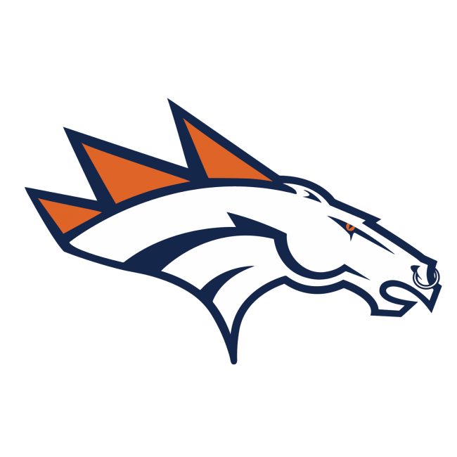 Denver Broncos Heavy Metal Logo fabric transfer